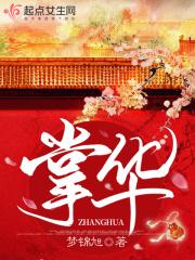 锦瑟忆流年是什么意思