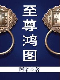 至尊鸿途 80