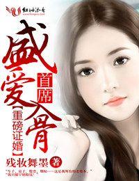 重磅证婚首席盛爱入骨txt
