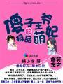 傻子王爷 一品王妃