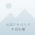 任性首席医师妻全文免费阅读