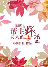 帮主夫人是代练全文免费阅读