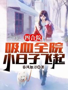 四合院我是贾梗