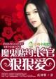 驯服恶魔总裁夜神翼