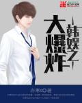 韩娱之大爆炸完结