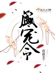 盛宠令 夜惠美 番外