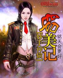 妙手神偷窃美记在线观看