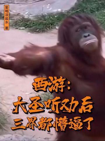 西游记大圣歌
