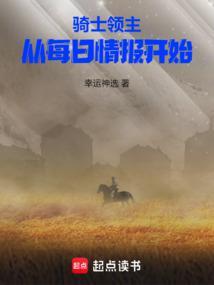 骑士的领导