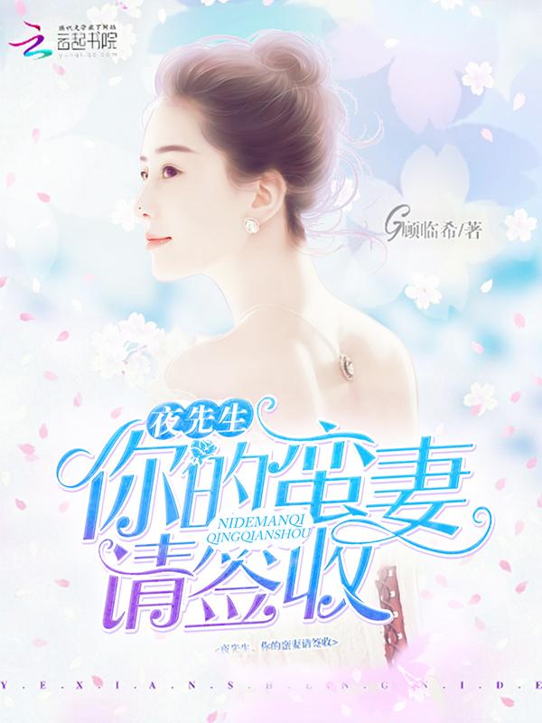 夜先生的追妻计划