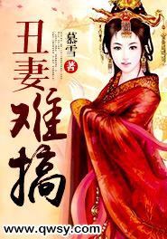 丑妻难搞讲什么