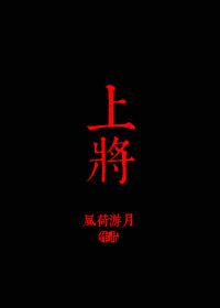 上将军衔一共有多少人