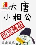 大唐小相公精校版