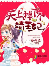 天上掉下个奇王妃免费