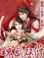 魂武双修人物介绍