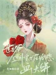 世子爷的妾