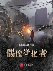 偶像化什么意思