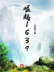 崛起1629