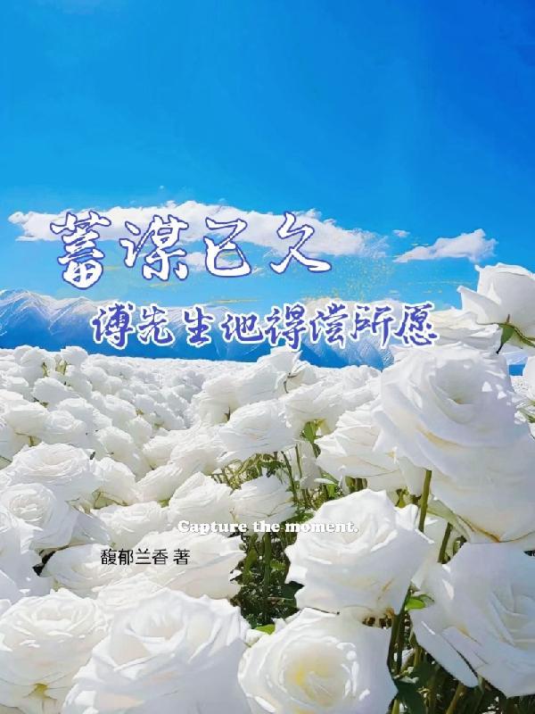 金枝菜叶 免费阅读