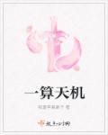 一算天机 一算天机